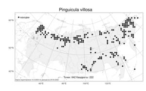 Pinguicula villosa L., Atlas of the Russian Flora (FLORUS) (Russia)