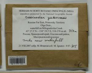 Coscinodon yukonensis Hastings, Bryophytes, Bryophytes - Russian Far East (excl. Chukotka & Kamchatka) (B20) (Russia)