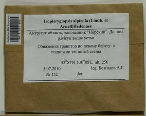 Isopterygiella alpicola (Lindb.) Ignatov & Ignatova, Bryophytes, Bryophytes - Russian Far East (excl. Chukotka & Kamchatka) (B20) (Russia)