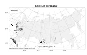 Sanicula europaea L., Atlas of the Russian Flora (FLORUS) (Russia)