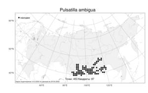 Pulsatilla ambigua (Turcz. ex Hayek) Zämelis & Paegle, Atlas of the Russian Flora (FLORUS) (Russia)