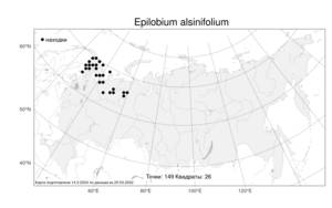 Epilobium alsinifolium Vill., Atlas of the Russian Flora (FLORUS) (Russia)