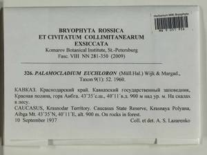Palamocladium euchloron (Bruch ex Müll. Hal.) Wijk & Margad., Bryophytes, Bryophytes - North Caucasus & Ciscaucasia (B12) (Russia)
