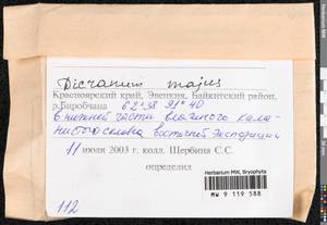 Dicranum majus Turner, Bryophytes, Bryophytes - Krasnoyarsk Krai, Tyva & Khakassia (B17) (Russia)