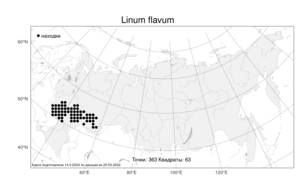 Linum flavum L., Atlas of the Russian Flora (FLORUS) (Russia)