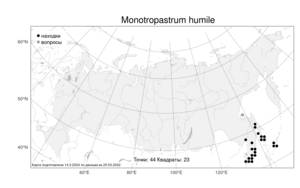 Monotropastrum humile (D. Don) H. Hara, Atlas of the Russian Flora (FLORUS) (Russia)