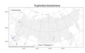 Euphorbia saratoi Ardoino, Atlas of the Russian Flora (FLORUS) (Russia)