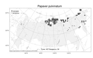 Papaver pulvinatum Tolm., Atlas of the Russian Flora (FLORUS) (Russia)