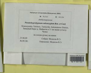 Pseudohygrohypnum subeugyrium (Renauld & Cardot) Ignatov & Ignatova, Bryophytes, Bryophytes - Krasnoyarsk Krai, Tyva & Khakassia (B17) (Russia)