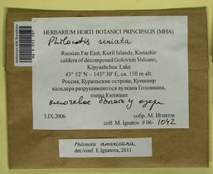 Philonotis americana Dism., Bryophytes, Bryophytes - Russian Far East (excl. Chukotka & Kamchatka) (B20) (Russia)