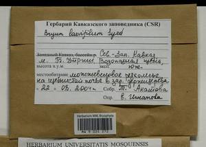 Rosulabryum moravicum (Podp.) Ochyra & Stebel, Bryophytes, Bryophytes - North Caucasus & Ciscaucasia (B12) (Russia)