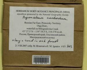 Pogonatum contortum (Menzies ex Brid.) Lesq., Bryophytes, Bryophytes - Russian Far East (excl. Chukotka & Kamchatka) (B20) (Russia)