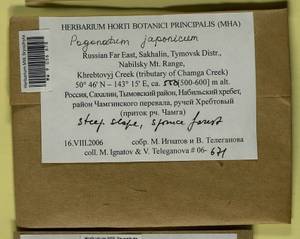 Pogonatum japonicum Sull. & Lesq., Bryophytes, Bryophytes - Russian Far East (excl. Chukotka & Kamchatka) (B20) (Russia)