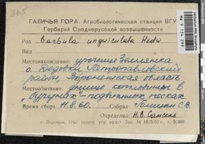 Barbula unguiculata Hedw., Bryophytes, Bryophytes - Central forest-and-steppe region (B10) (Russia)