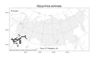 Glycyrrhiza echinata L., Atlas of the Russian Flora (FLORUS) (Russia)