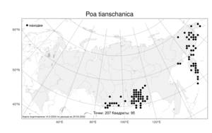Poa tianschanica (Regel) Hack. ex O.Fedtsch., Atlas of the Russian Flora (FLORUS) (Russia)