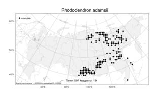 Rhododendron adamsii Rehder, Atlas of the Russian Flora (FLORUS) (Russia)