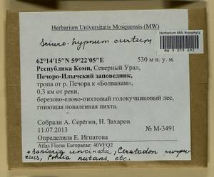 Ceratodon purpureus (Hedw.) Brid., Bryophytes, Bryophytes - European North East (B7) (Russia)