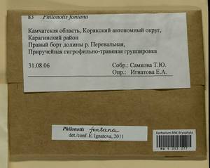 Philonotis fontana (Hedw.) Brid., Bryophytes, Bryophytes - Chukotka & Kamchatka (B21) (Russia)