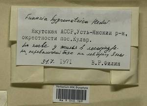 Funaria hygrometrica Hedw., Bryophytes, Bryophytes - Yakutia (B19) (Russia)