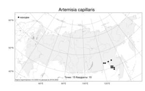 Artemisia capillaris Thunb., Atlas of the Russian Flora (FLORUS) (Russia)