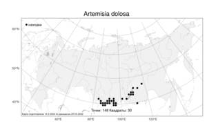 Artemisia dolosa Krasch., Atlas of the Russian Flora (FLORUS) (Russia)