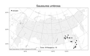 Saussurea umbrosa Kom., Atlas of the Russian Flora (FLORUS) (Russia)