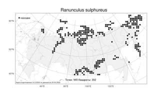 Ranunculus sulphureus Sol. ex J. B. Phipps, Atlas of the Russian Flora (FLORUS) (Russia)