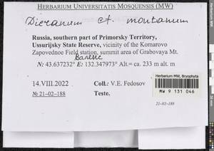 Orthodicranum montanum (Hedw.) Loeske, Bryophytes, Bryophytes - Russian Far East (excl. Chukotka & Kamchatka) (B20) (Russia)
