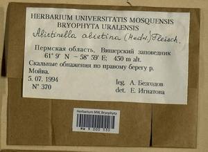 Abietinella abietina (Hedw.) M. Fleisch., Bryophytes, Bryophytes - Permsky Krai, Udmurt Republic, Sverdlovsk & Kirov Oblasts (B8) (Russia)