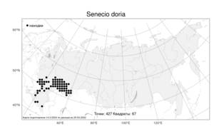 Senecio doria L., Atlas of the Russian Flora (FLORUS) (Russia)