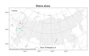 Malva alcea L., Atlas of the Russian Flora (FLORUS) (Russia)