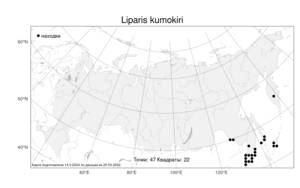 Liparis kumokiri F.Maek., Atlas of the Russian Flora (FLORUS) (Russia)
