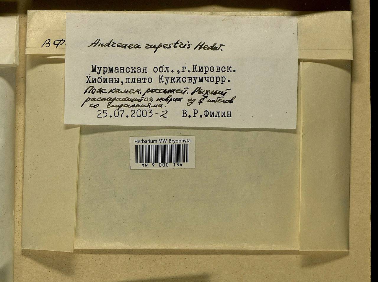 Andreaea rupestris Hedw., Bryophytes, Bryophytes - Karelia, Leningrad & Murmansk Oblasts (B4) (Russia)