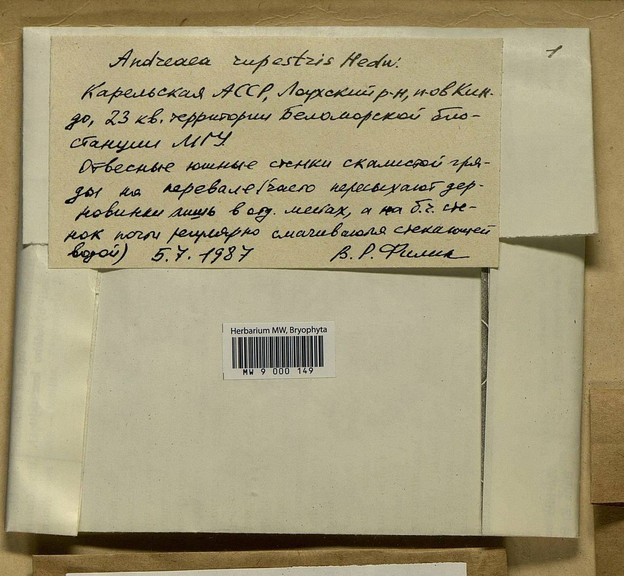 Andreaea rupestris Hedw., Bryophytes, Bryophytes - Karelia, Leningrad & Murmansk Oblasts (B4) (Russia)