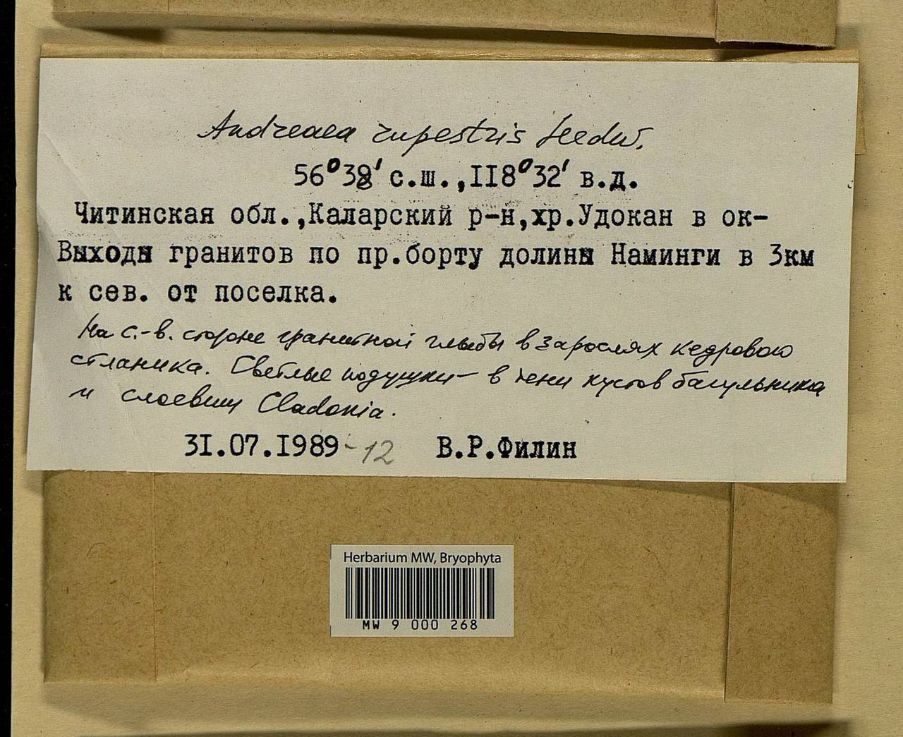 Andreaea rupestris Hedw., Bryophytes, Bryophytes - Baikal & Transbaikal regions (B18) (Russia)