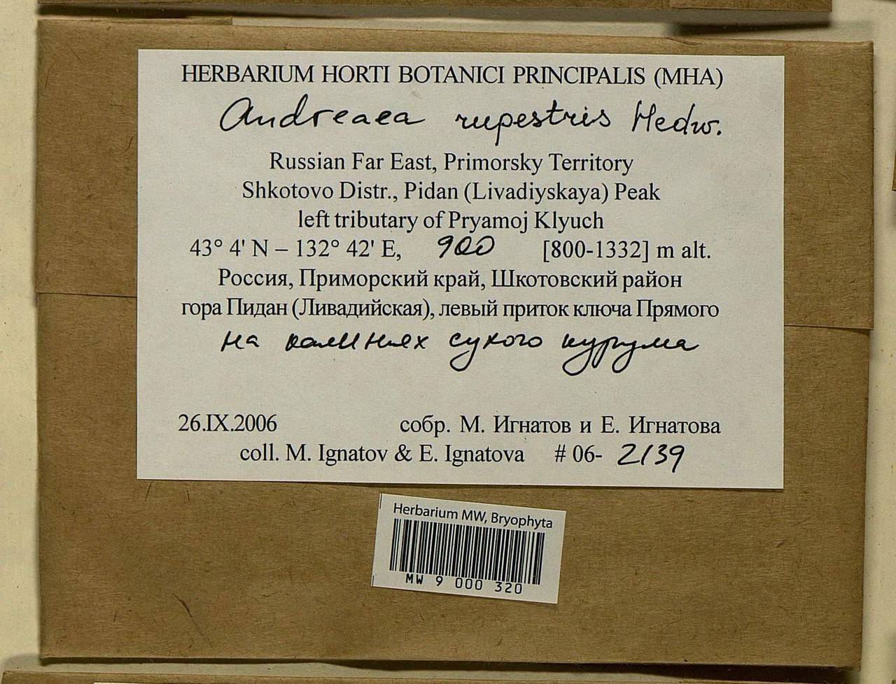 Andreaea rupestris Hedw., Bryophytes, Bryophytes - Russian Far East (excl. Chukotka & Kamchatka) (B20) (Russia)