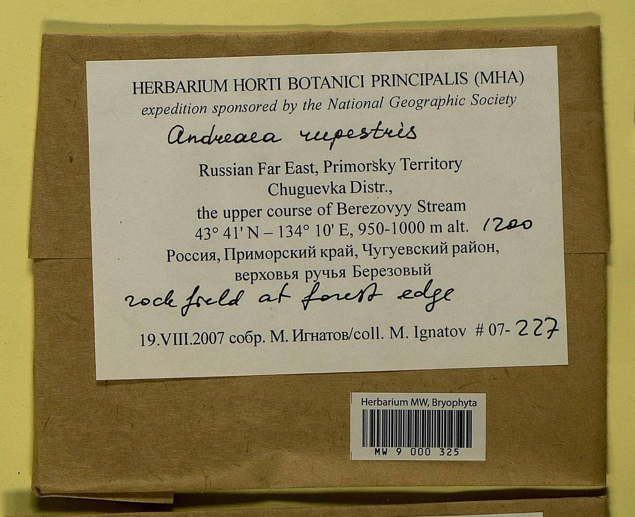 Andreaea rupestris Hedw., Bryophytes, Bryophytes - Russian Far East (excl. Chukotka & Kamchatka) (B20) (Russia)