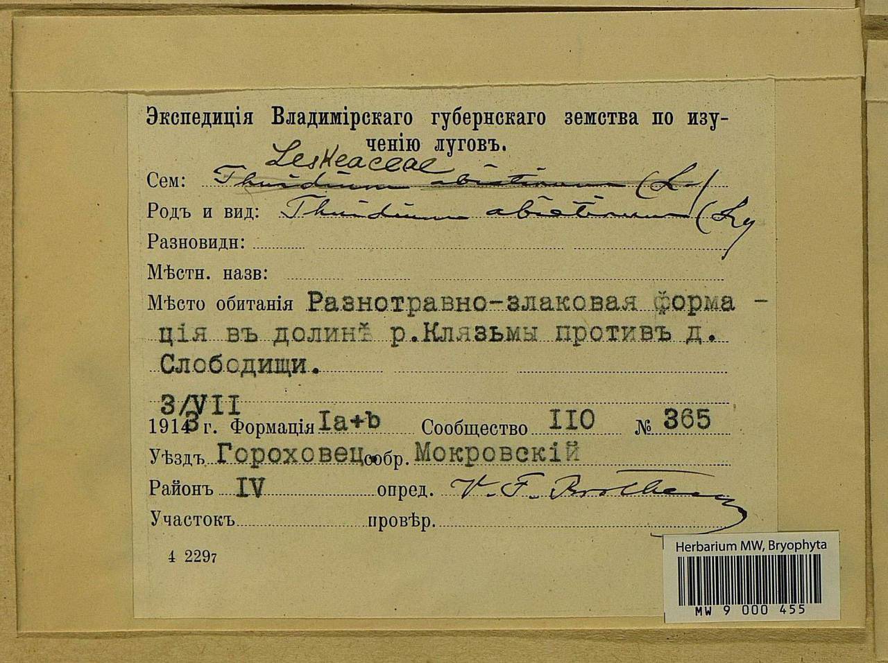 Abietinella abietina (Hedw.) M. Fleisch., Bryophytes, Bryophytes - Middle Russia (B6) (Russia)
