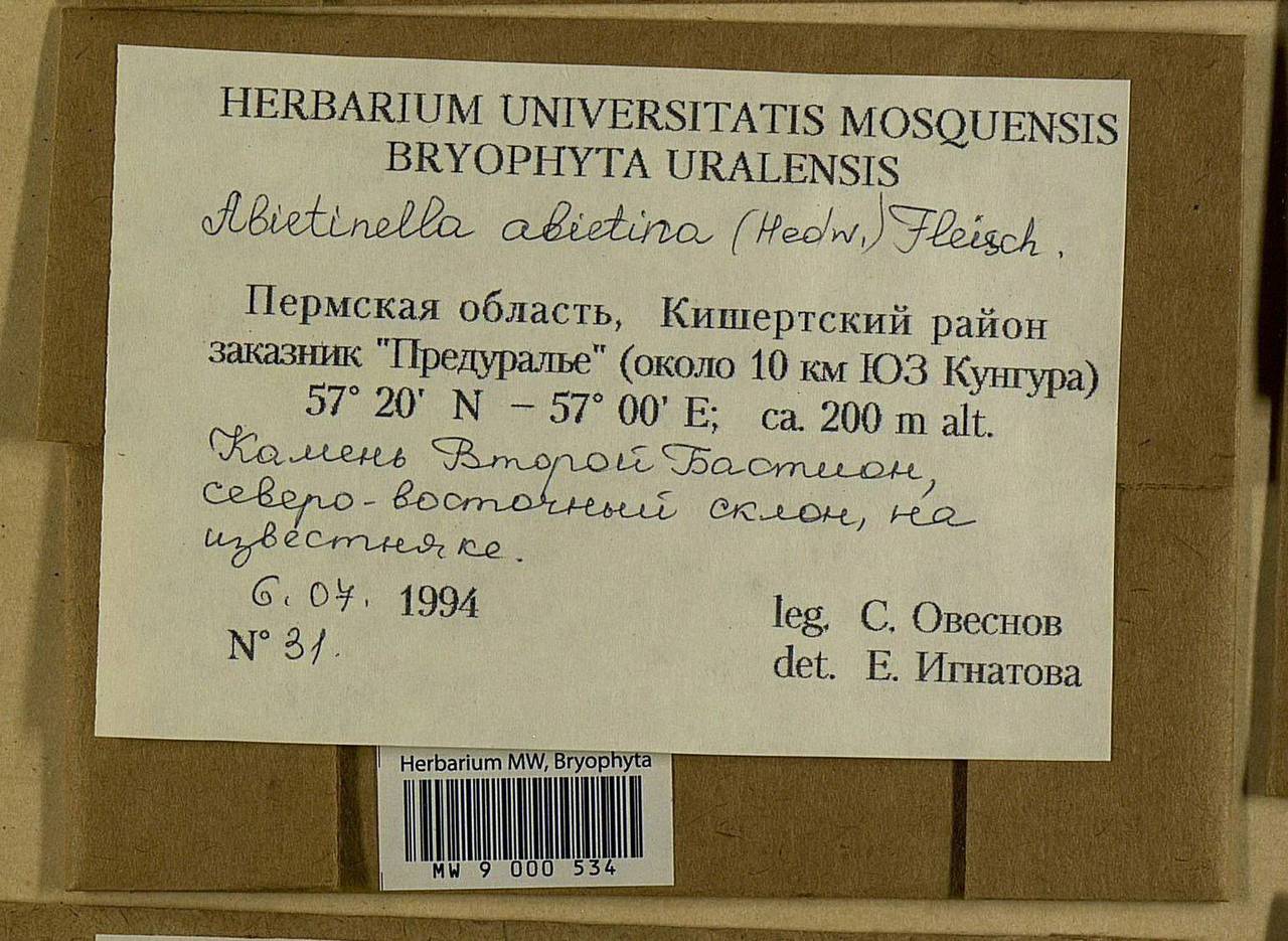 Abietinella abietina (Hedw.) M. Fleisch., Bryophytes, Bryophytes - Permsky Krai, Udmurt Republic, Sverdlovsk & Kirov Oblasts (B8) (Russia)