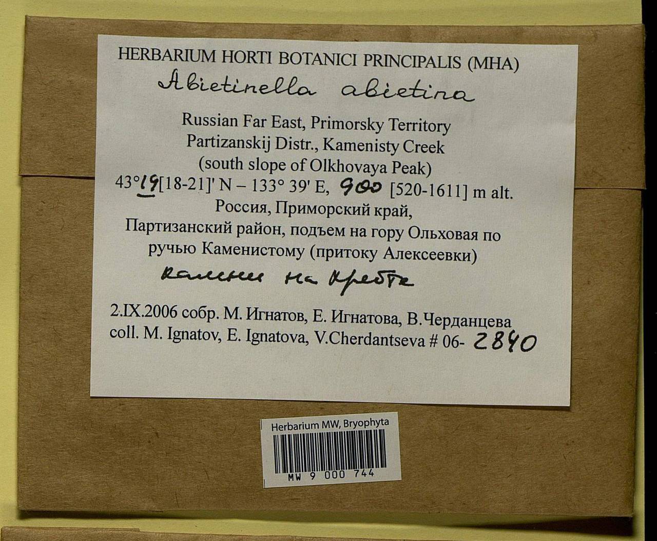 Abietinella abietina (Hedw.) M. Fleisch., Bryophytes, Bryophytes - Russian Far East (excl. Chukotka & Kamchatka) (B20) (Russia)