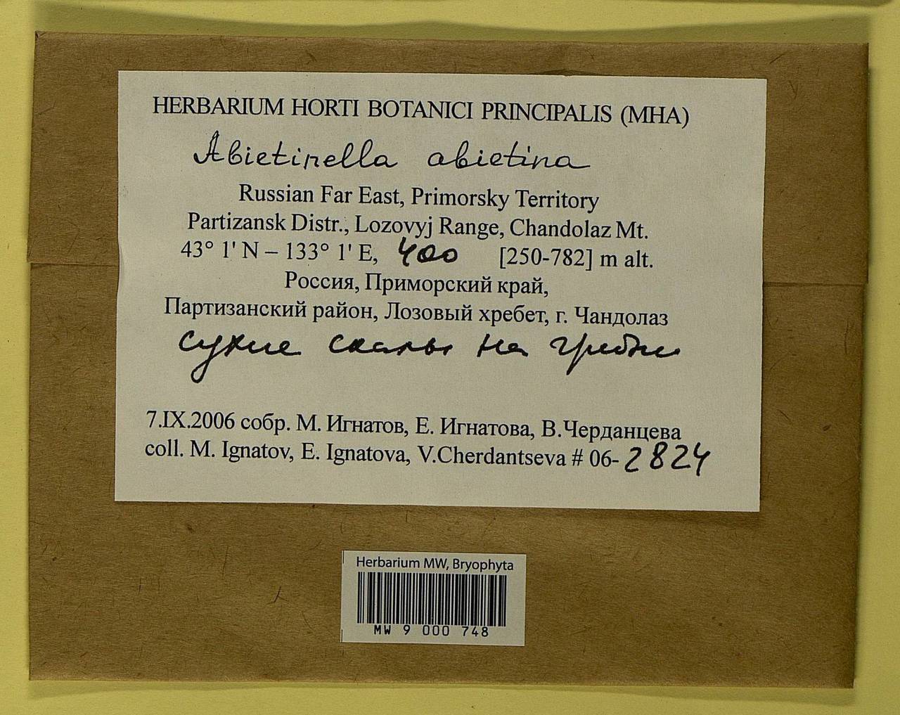 Abietinella abietina (Hedw.) M. Fleisch., Bryophytes, Bryophytes - Russian Far East (excl. Chukotka & Kamchatka) (B20) (Russia)