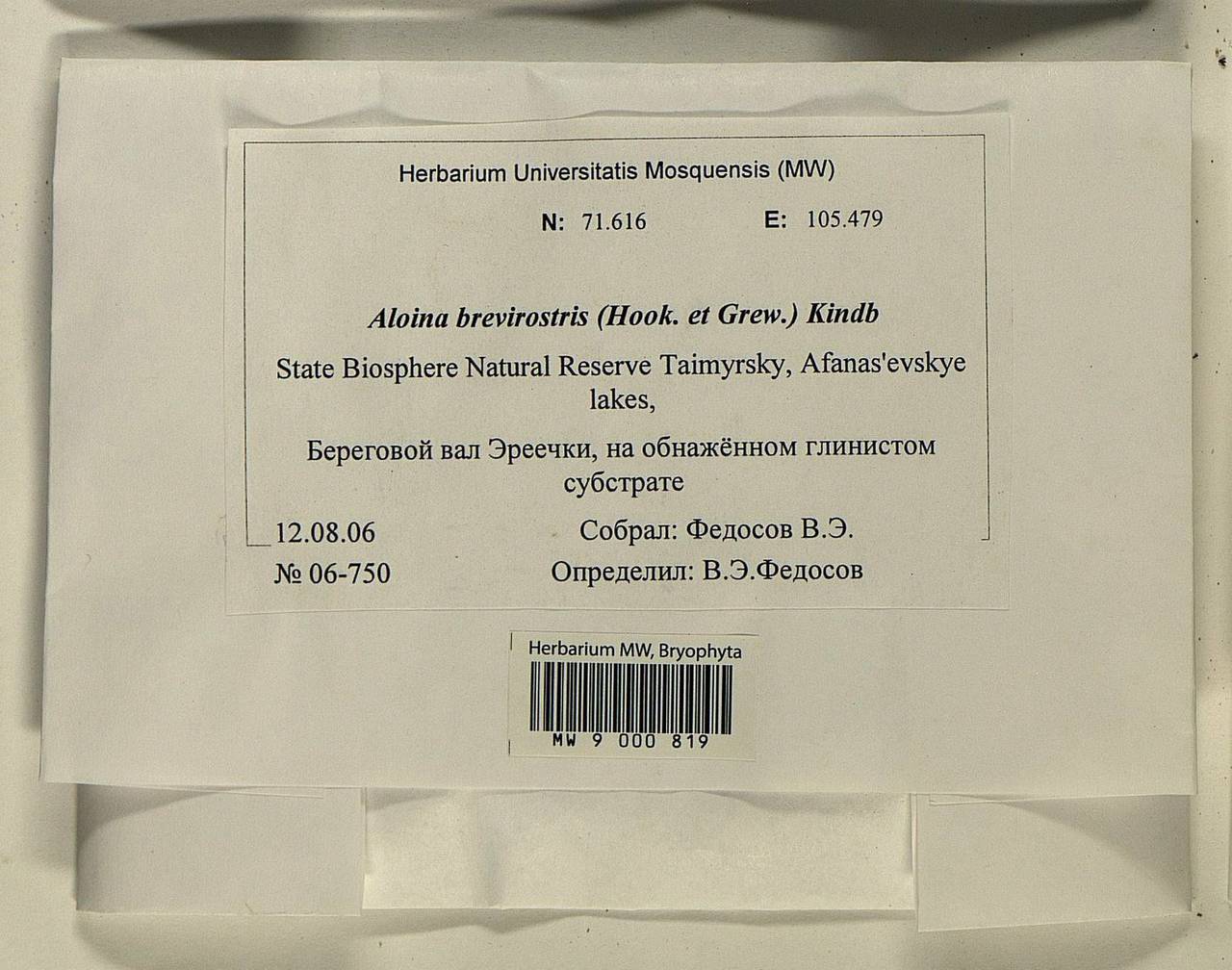 Aloina brevirostris (Hook. & Grev.) Kindb., Bryophytes, Bryophytes - Krasnoyarsk Krai, Tyva & Khakassia (B17) (Russia)