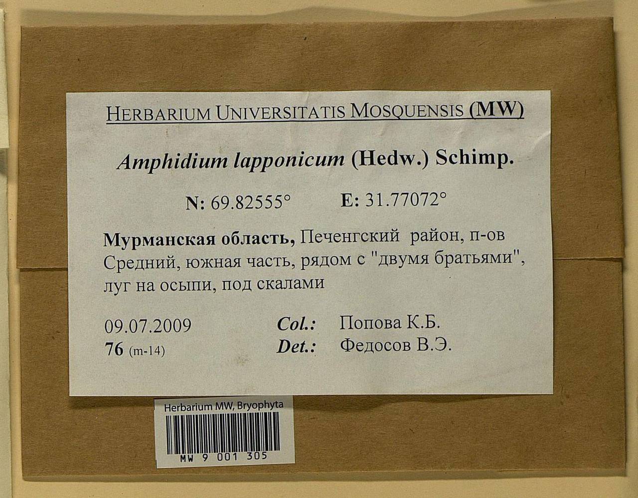 Amphidium lapponicum (Hedw.) Schimp., Bryophytes, Bryophytes - Karelia, Leningrad & Murmansk Oblasts (B4) (Russia)