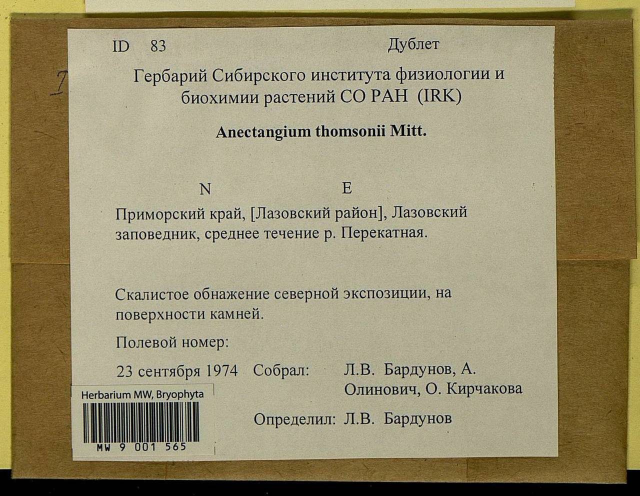 Anoectangium stracheyanum Mitt., Bryophytes, Bryophytes - Russian Far East (excl. Chukotka & Kamchatka) (B20) (Russia)