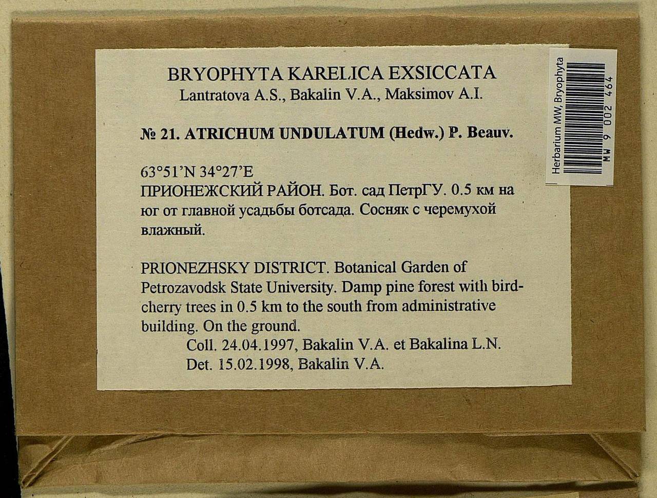 Atrichum undulatum (Hedw.) P. Beauv., Bryophytes, Bryophytes - Karelia, Leningrad & Murmansk Oblasts (B4) (Russia)