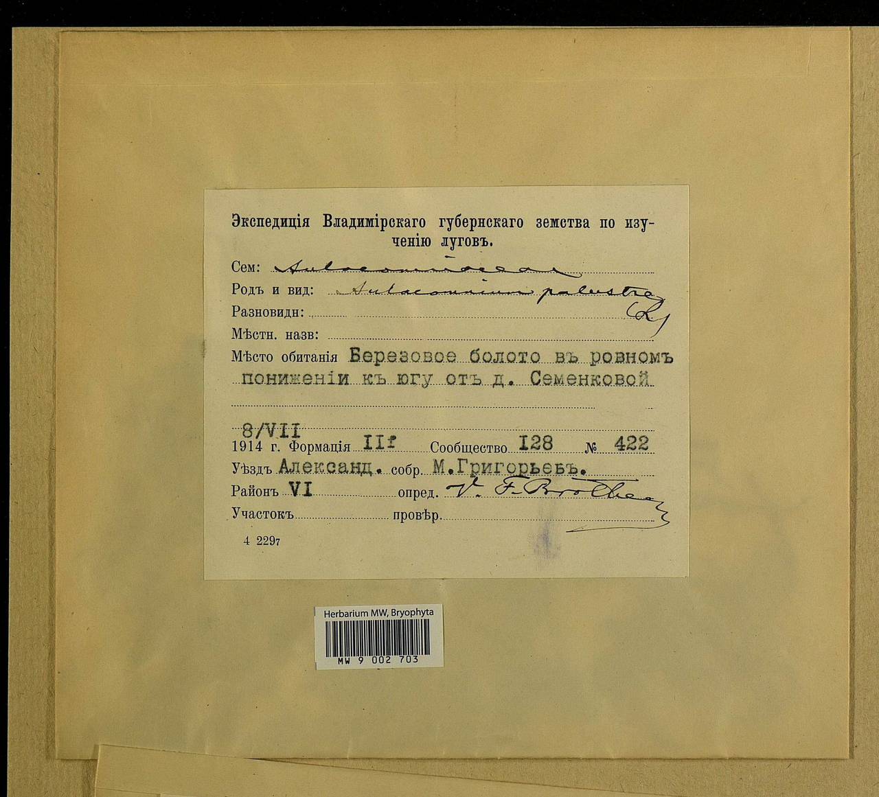 Aulacomnium palustre (Hedw.) Schwägr., Bryophytes, Bryophytes - Middle Russia (B6) (Russia)