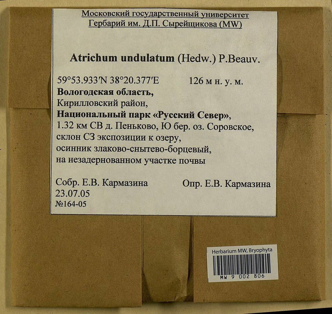 Atrichum undulatum (Hedw.) P. Beauv., Bryophytes, Bryophytes - European North East (B7) (Russia)