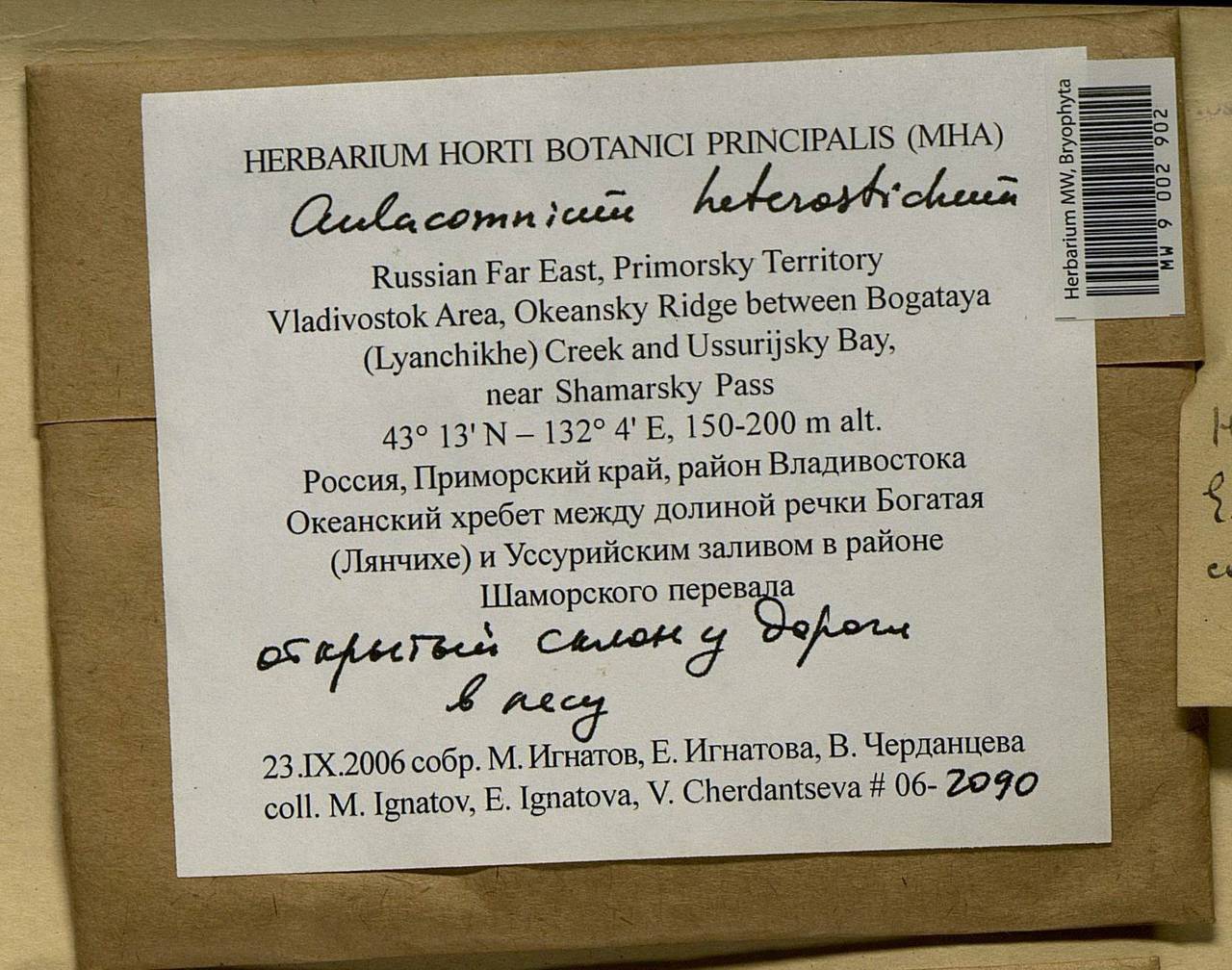 Aulacomnium heterostichum (Hedw.) Bruch & Schimp., Bryophytes, Bryophytes - Russian Far East (excl. Chukotka & Kamchatka) (B20) (Russia)