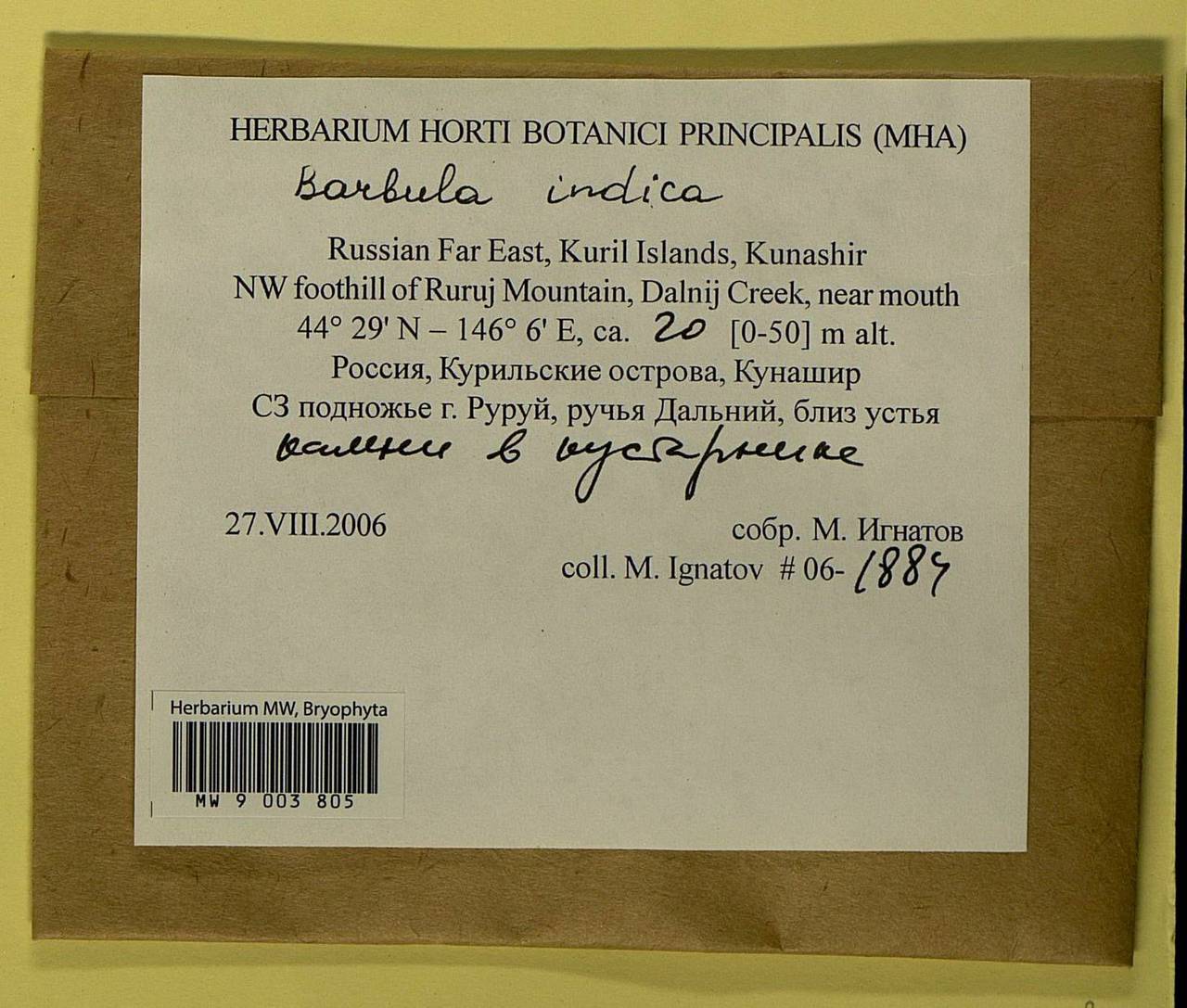 Hydrogonium consanguineum (Thwaites & Mitt.) Hilp., Bryophytes, Bryophytes - Russian Far East (excl. Chukotka & Kamchatka) (B20) (Russia)